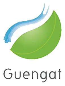 Guengat